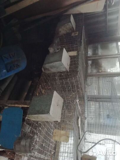 Клетки для кроликов, птиц и т. д