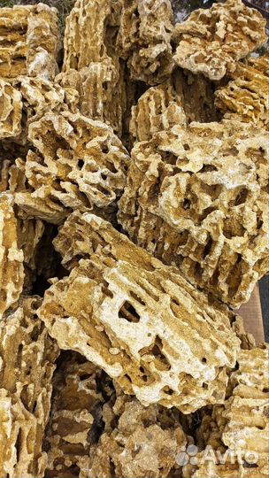 Камни Миотис, Ракушечник для аквариума и ландшафта