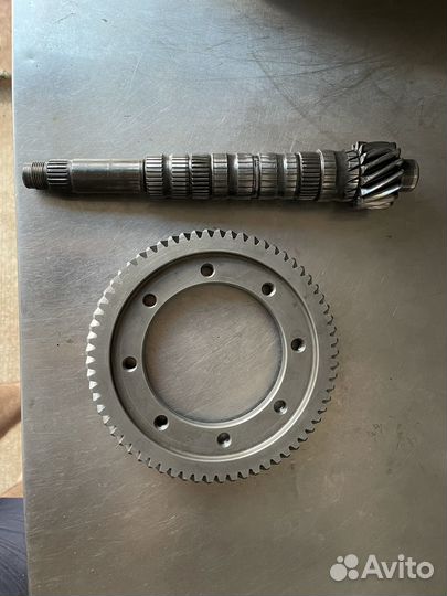 Главная пара 4.3 гранта спорт