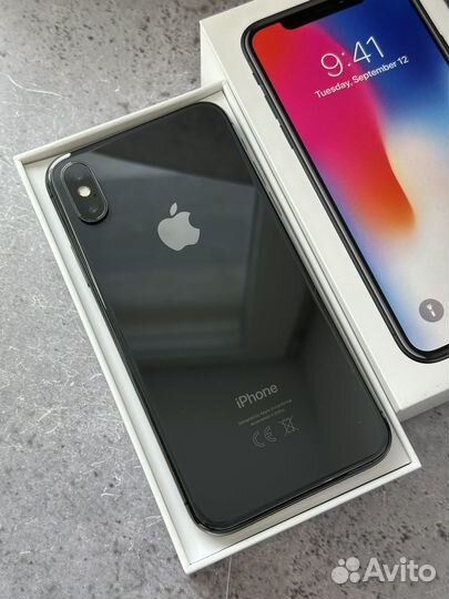 iPhone X, 256 ГБ