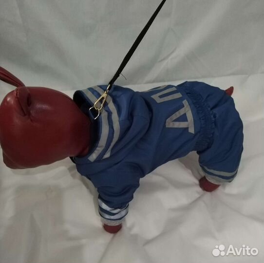 Дождевики- комбинезоны, одежда для собак