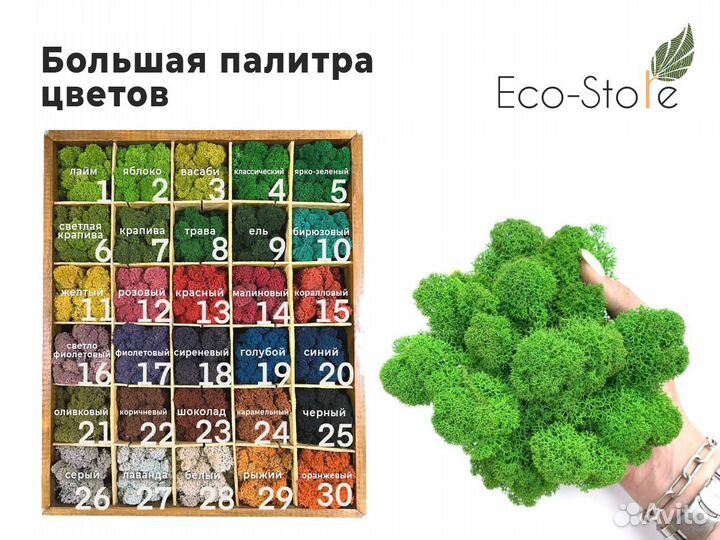 Карта со стабилизированным мхом для вашего города