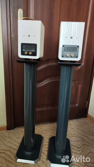 Акустическая система Bluesound Duo D20