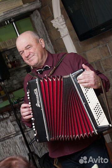 Баянист-вокалист