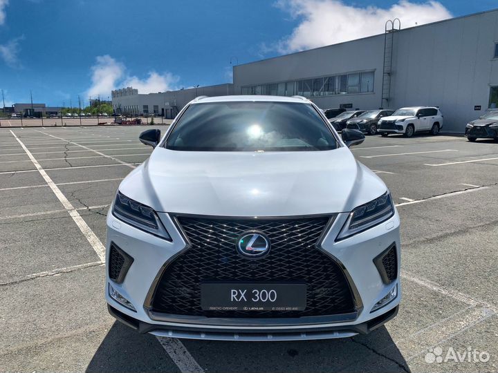 Lexus RX 2.0 AT, 2022