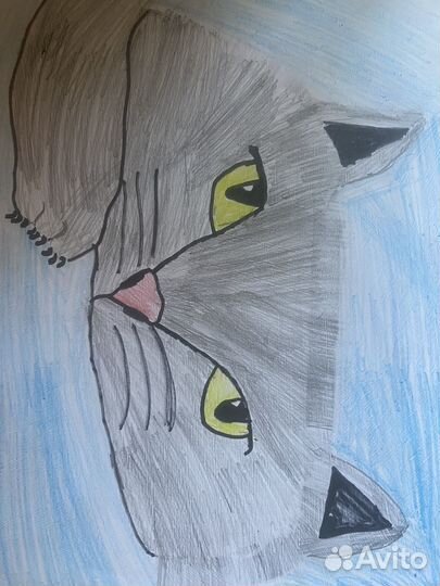 Рисую Ваших питомцев за любую сумму