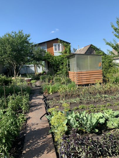 Дача 50 м² на участке 4 сот.