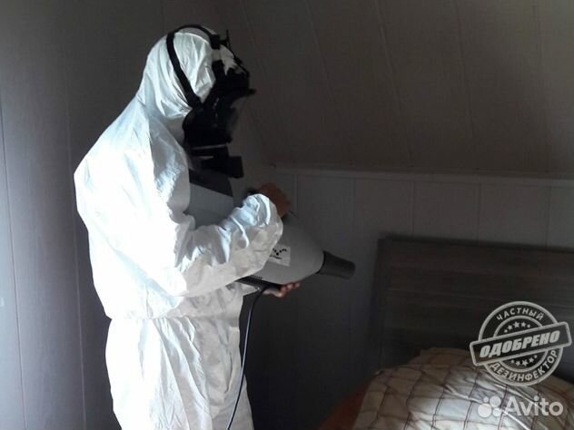 Уничтожение клопов тараканов дезинфекция плесени