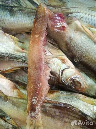 Астраханская вобла