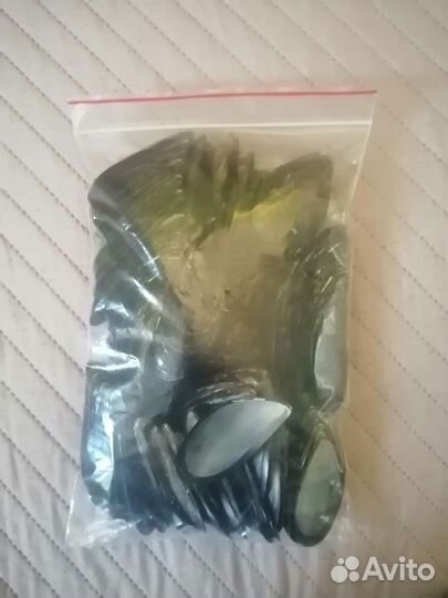 Ракушки мидий 700 шт