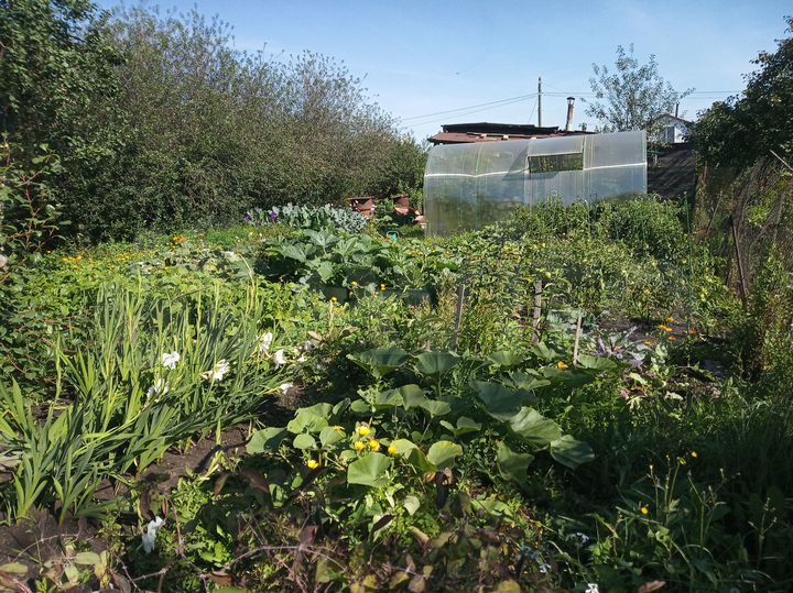 Дача 24 м² на участке 5,3 сот.