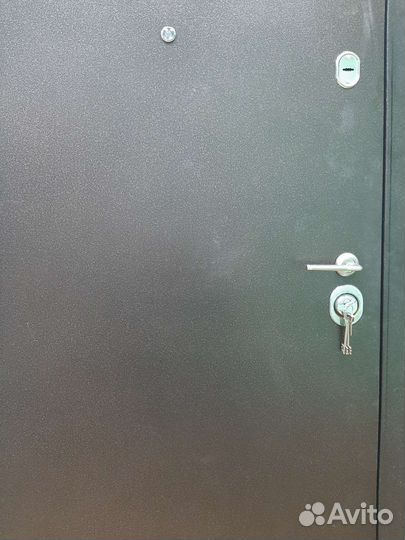 Дверь зимняя