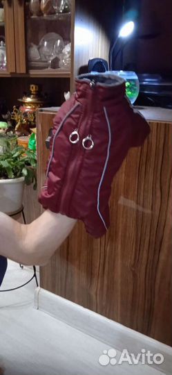 Комбинезон для маленькой собаки