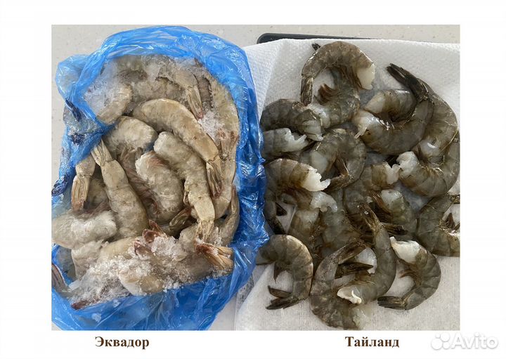 Креветки б/г в панцире (16/20 шт./фунт.) Тайланд