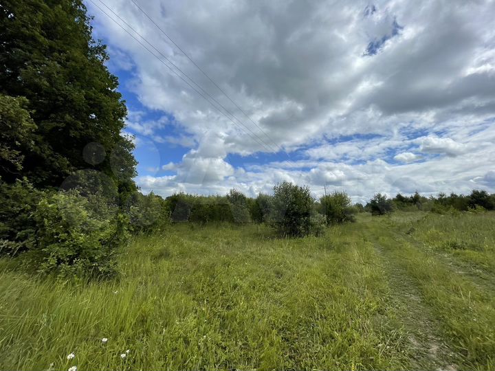 Участок 6 га (СНТ, ДНП)