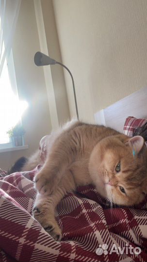 Очень хороший персонаж