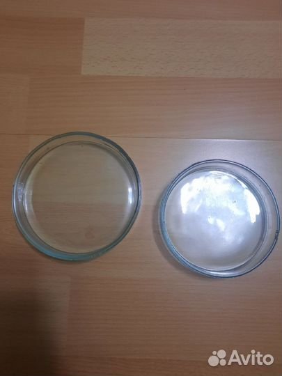 Чашки Петри