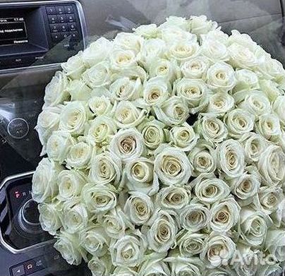 Высокие Розы Гиганты Доставка Круглосуточно