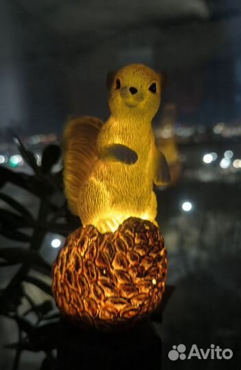 10 мл пузырёк Масло мациса Сыродавленное Свежее