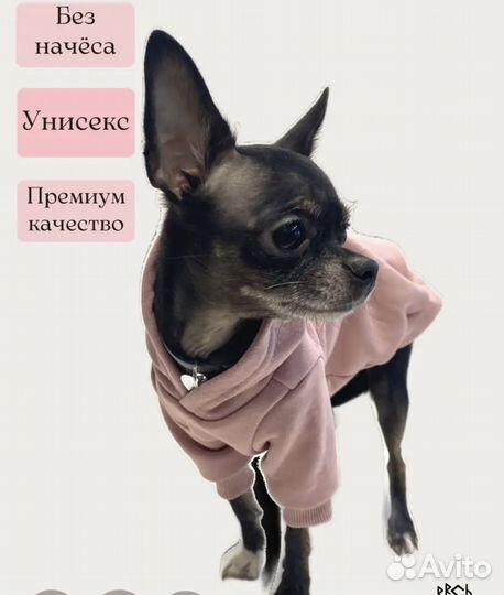 Одежда для маленьких собак