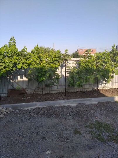 Дом 193 м² на участке 5 сот.