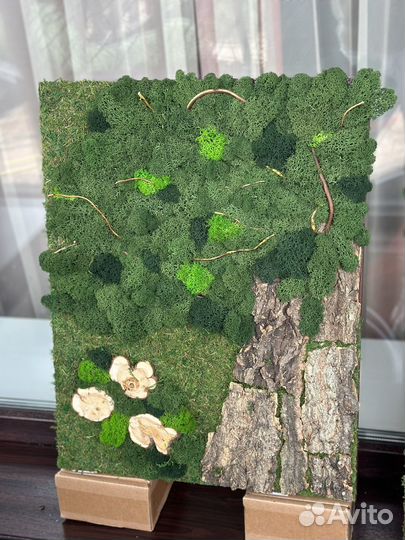 Картина из стабилизированного мха