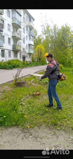 Вырубка деревьев, покос травы