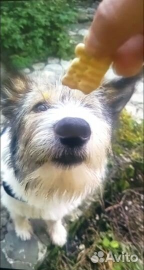 Отличные малыши в самые лучшие руки