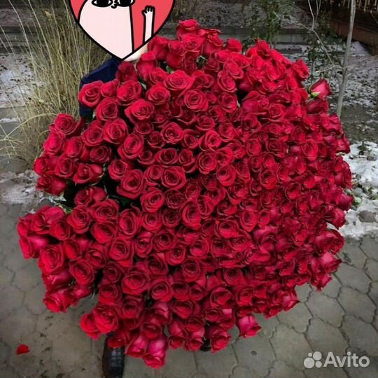 Букеты из 101 розы