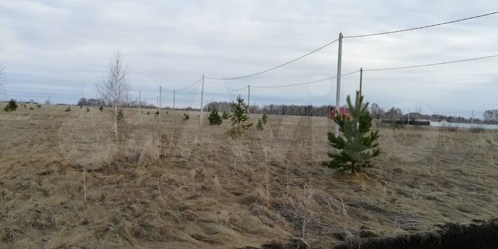 Участок 15 сот. (ИЖС)