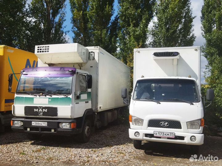 Грузоперевозки рефрижератор допог, ADR