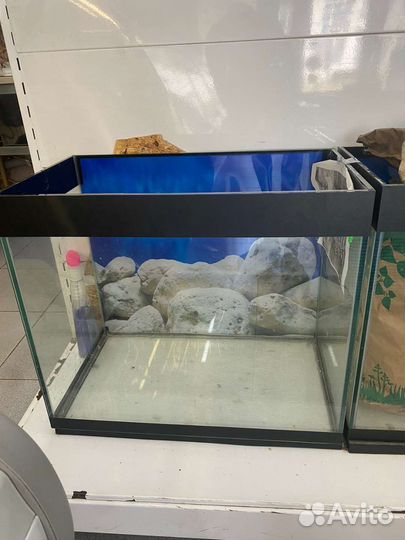 Аквариум