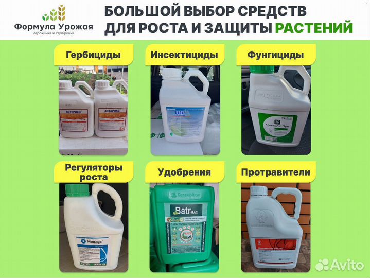 Регулятор роста Моддус