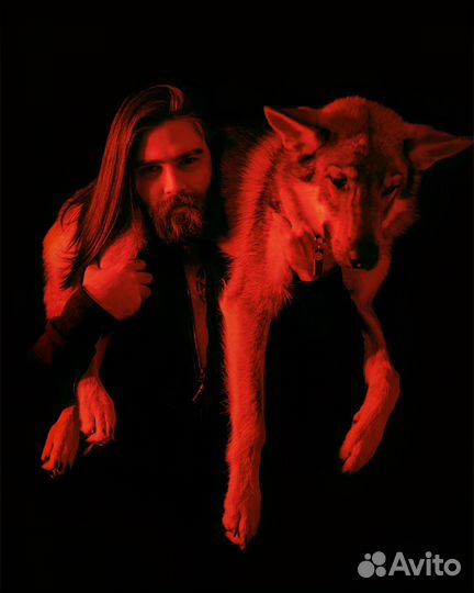 Кинолог l Зоопсихолог