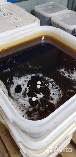 Мёд горный качка 2023 год