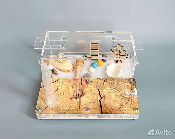 Муравьиная ферма Формикарий