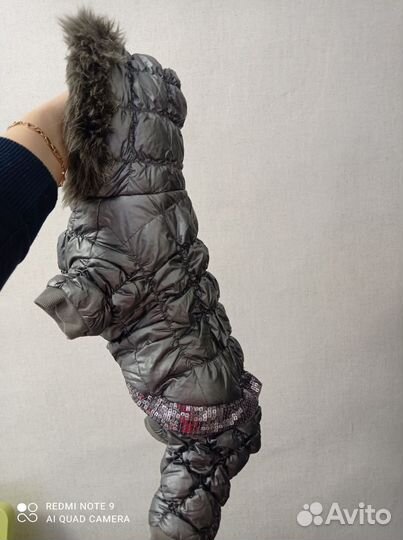 Одежда для маленьких собак зимняя