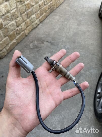 Лямбда зонд