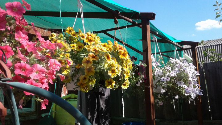 Дом 40 м² на участке 3 сот.