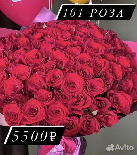 Розы цветы ю Орел