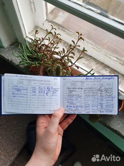 Репетитор по математике и физике из МГУ