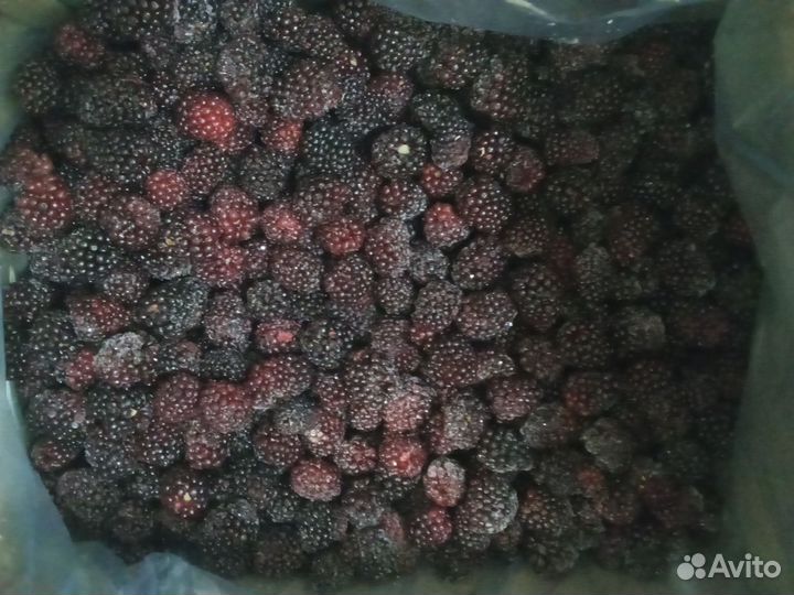 Голубика,клубника,калина, ежевика