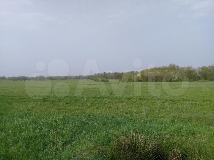 Участок 3,5 га (СНТ, ДНП)