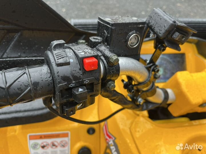 Квадроцикл 2023 Motoland Wild Track X Winch