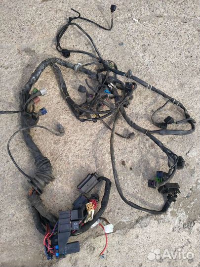 Коса моторная (проводка) Ауди А4 В5/В6 А6с5
