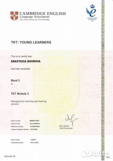 Профессиональный репетитор по английскому языку