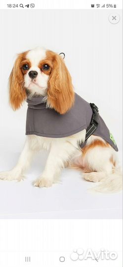 Попона (одежда) для собак размер 35