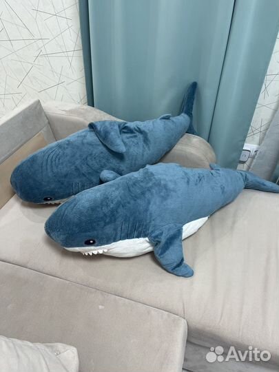 Две акулы в наличии