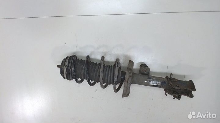 Амортизатор подвески Fiat Punto Evo, 2010