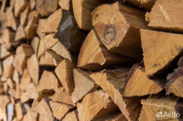 Дрова береза